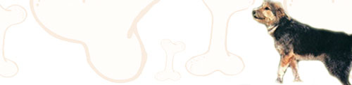 Armant image