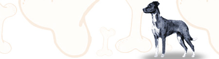 Catahoula image