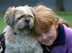 Shih Puppies Care on Shih Tzus Are Different But You Knew That Anyway Didn T You