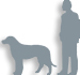 Dog+breeds+pictures+chart