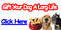 Train Pet Dog promotions
