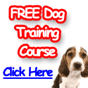 Turn your dog into an obedient pet - Free Dog Training Course. Sign up now.