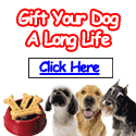 Proper Dog Diet for a long healthy life for your dog