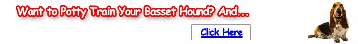 Free Training Course for Basset Hounds - Turn your Basset into an obedient dog soon