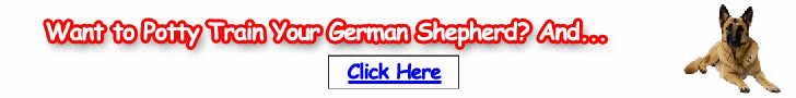 Free Training Course for German Shepherds - Turn your German Shepherd into an obedient dog soon