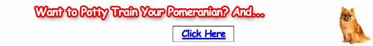 Free Training Course for Pomeranians - Turn your Pomeranian into an obedient dog soon