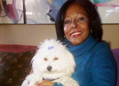 how to train your bichon frise