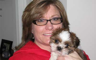 shih tzu puppy training stop biting