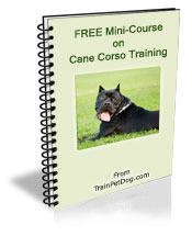 Dogs Cane Corso Free Training Course On Cane Corsos