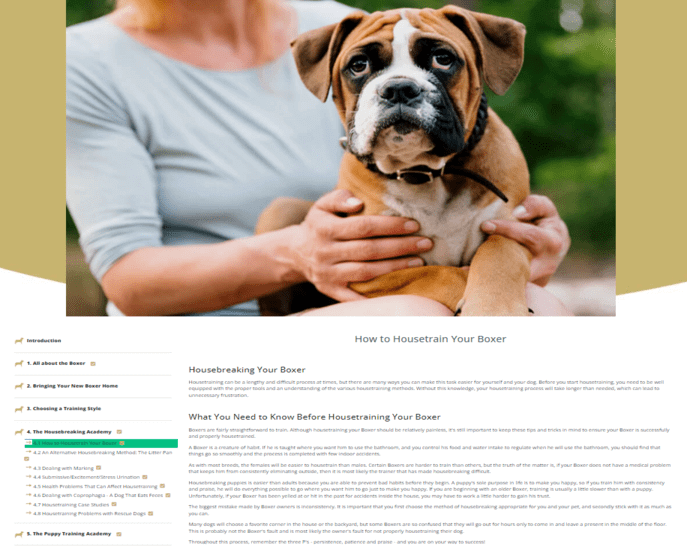 Boxer Training Learn All About Training Boxers & Taking Care of Them