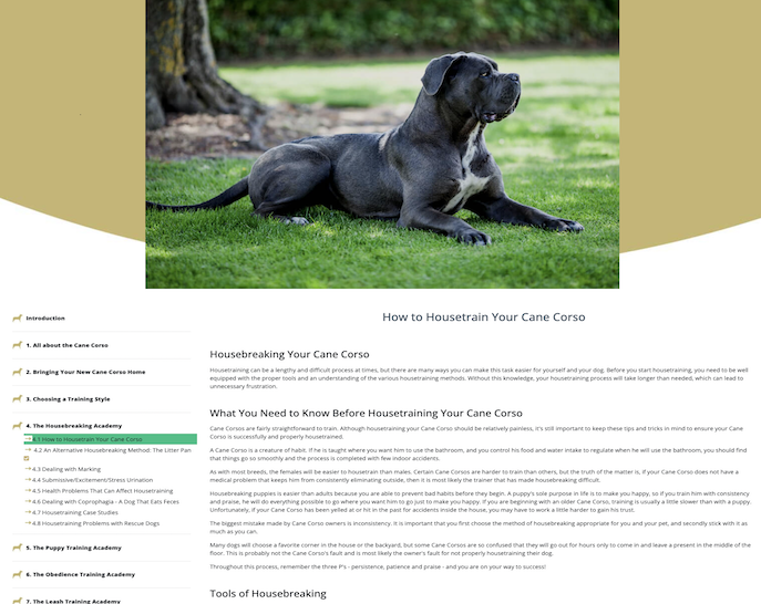 Cane Corso Training Learn All About Training Cane Corsos & Taking Care