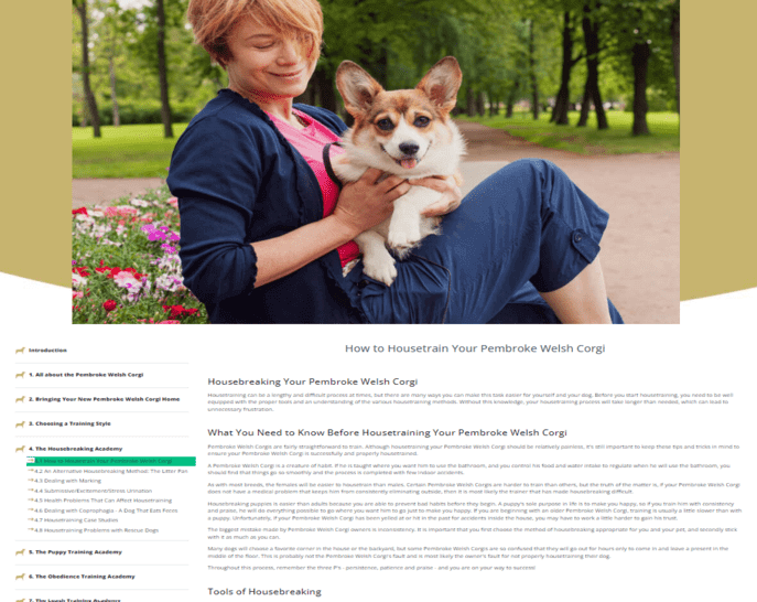 Pembroke Welsh Training Learn All About Training Pembroke Welsh