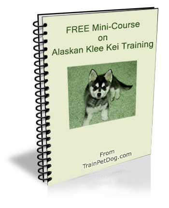 Alaskan Klee Kai - Training Course on Alaskan Klee Kai