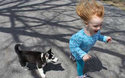 Dog with lovers