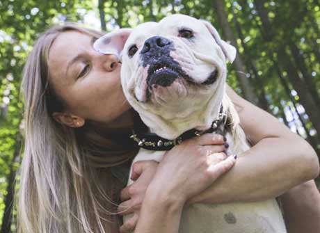 Dog with lovers