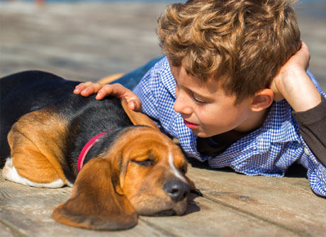 Dog with lovers