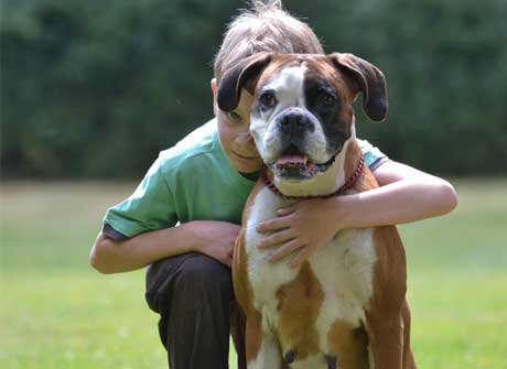 Dog with lovers