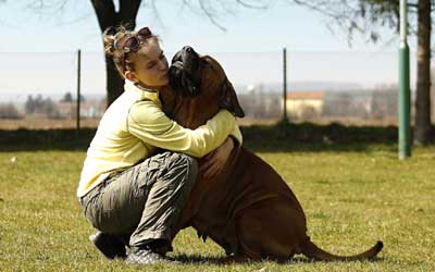 Dog with lovers