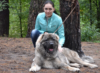 Dog with lovers