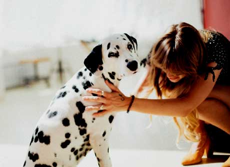 Dog with lovers