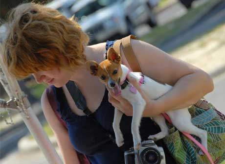 Dog with lovers