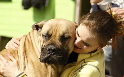 Dog with lovers