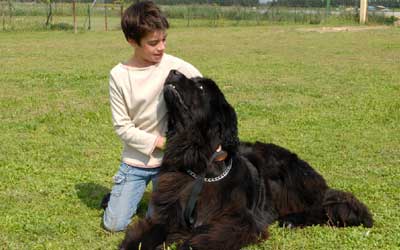Dog with lovers