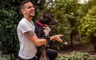 Dog with lovers