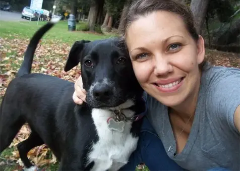 canine ban