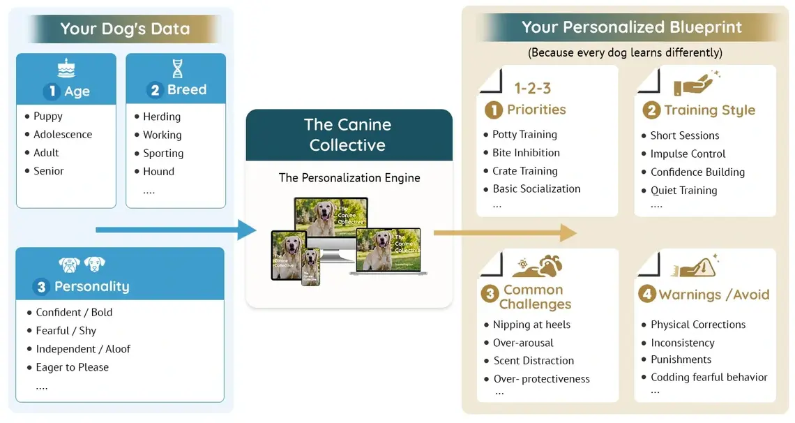 The Canine Collective Blueprint