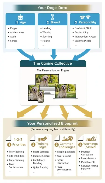 The Canine Collective Blueprint