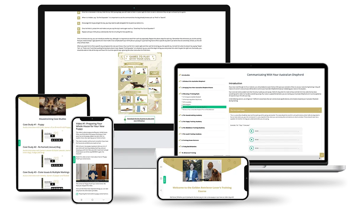 Dog Training Product