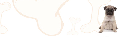 Teacup Pug image
