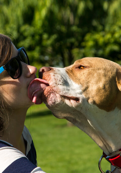 Dog with lovers