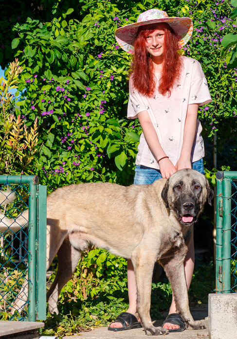 Dog with lovers