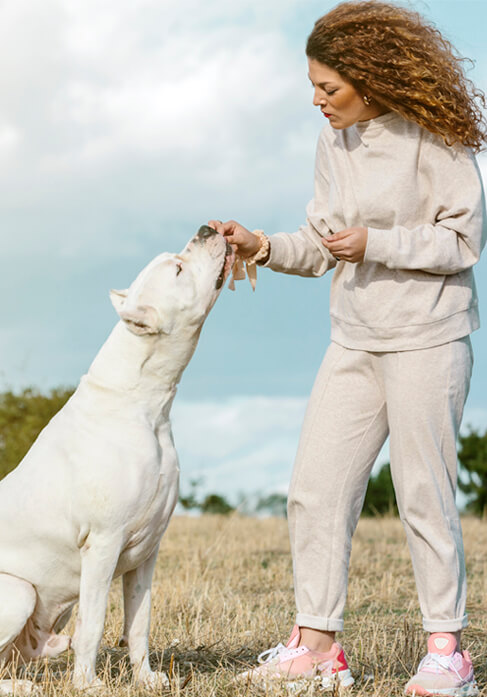 Dog with lovers