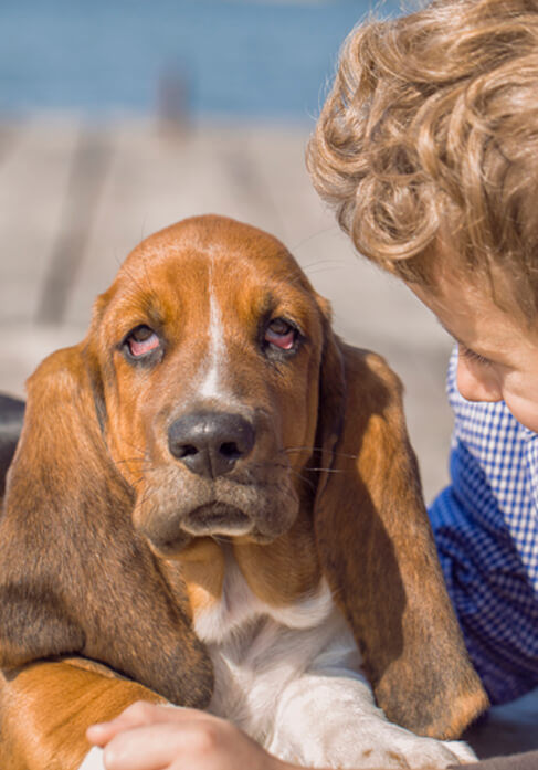 Dog with lovers