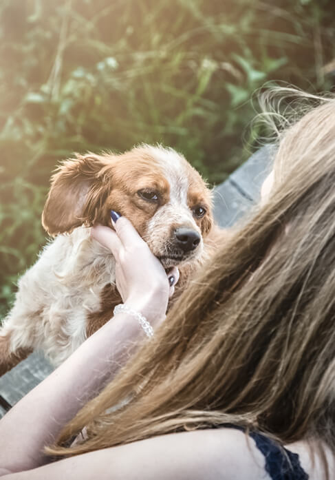 Dog with lovers