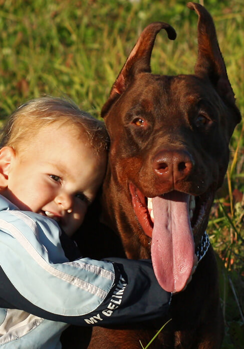 Dog with lovers