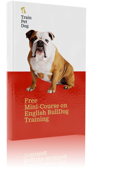 About The Breed: Bulldog  Highland Canine Training