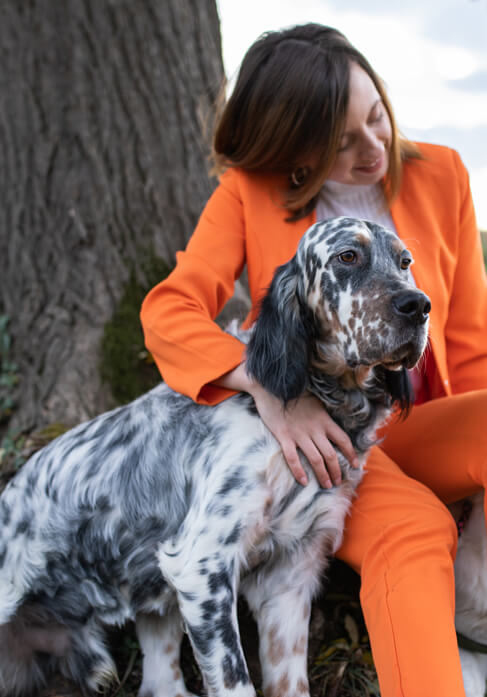 how to house train a english setter puppy