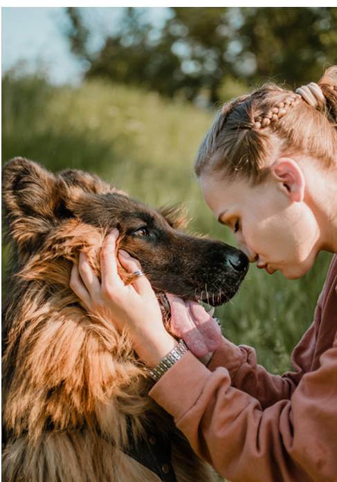 Dog with lovers