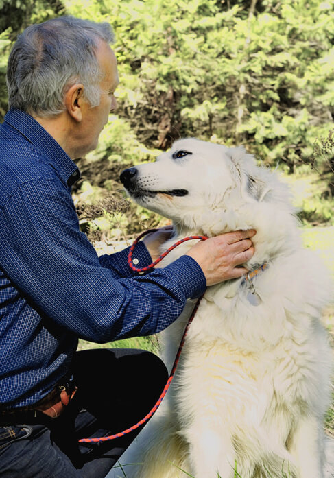 Dog with lovers