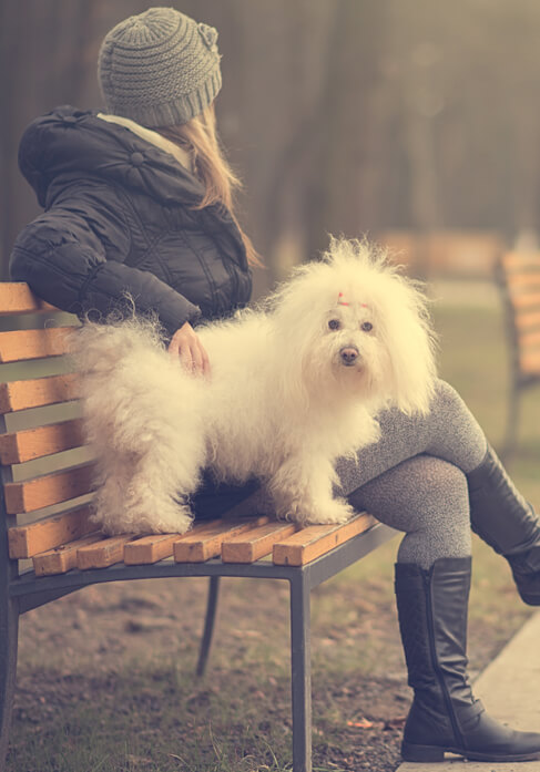 Dog with lovers