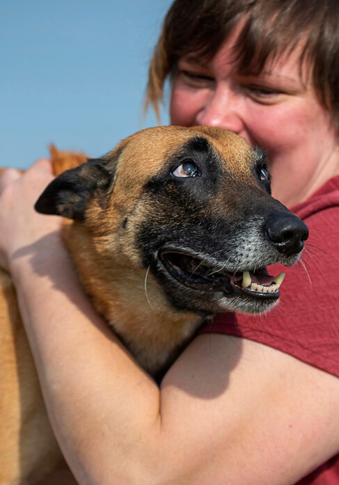 Dog with lovers