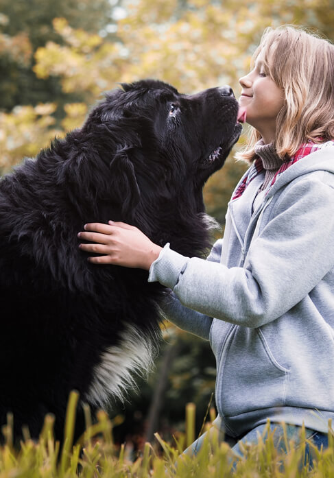 Dog with lovers