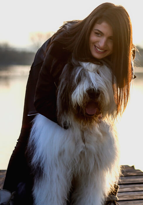 are old english sheepdogs easy to keep weight on