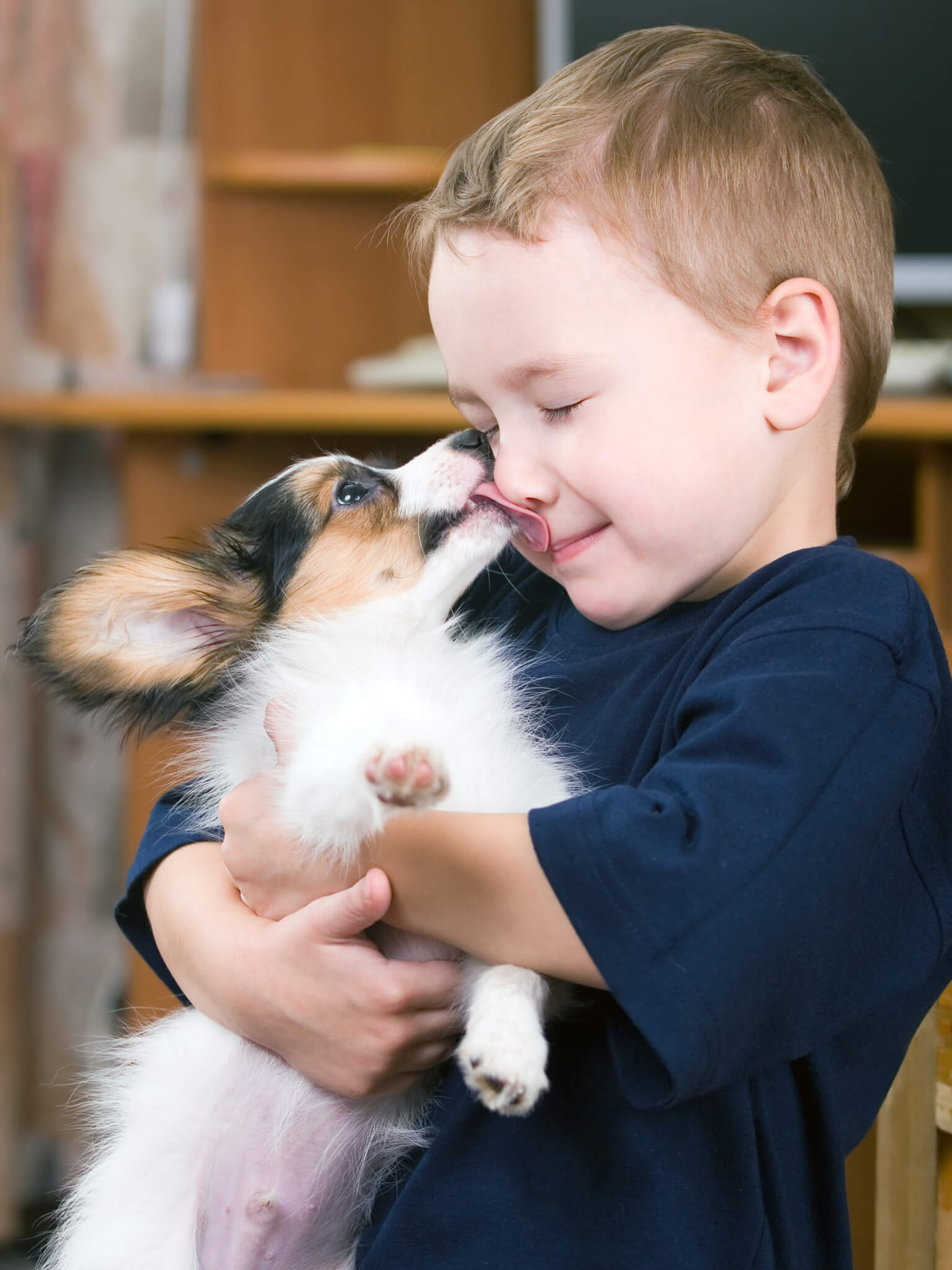 Dog with lovers