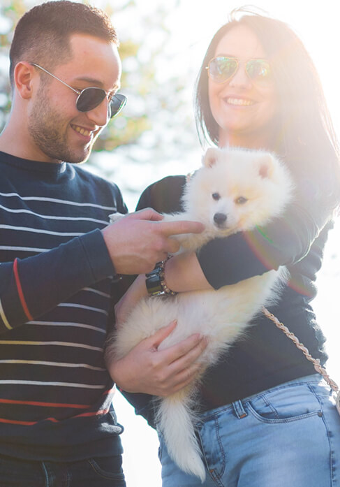 Dog with lovers