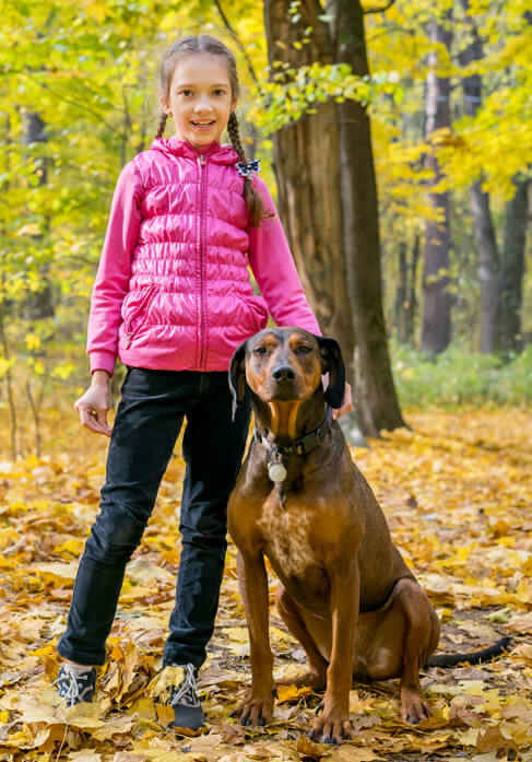 Dog with lovers